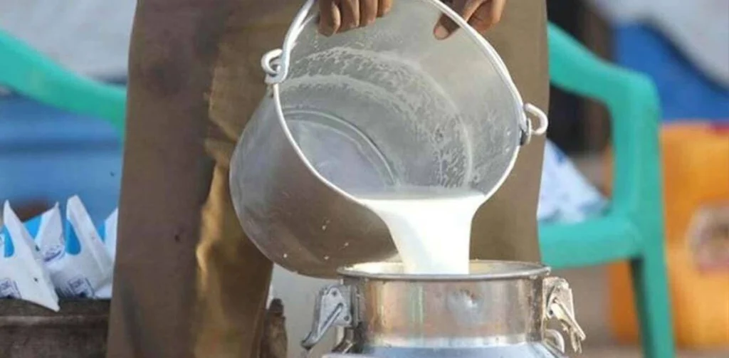 tainted milk in DI Khan