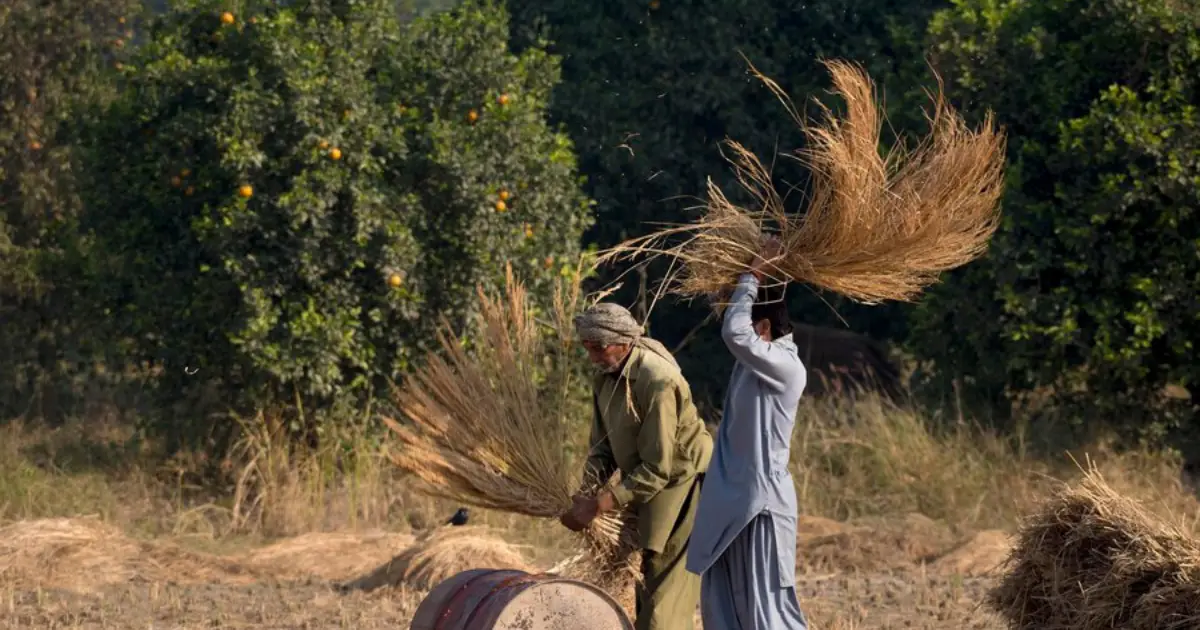 Kisan card registration, Kisan card apply