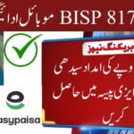 BISP 8171 Mobile Payments
