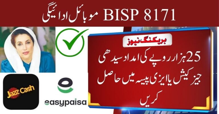 BISP 8171 Mobile Payments