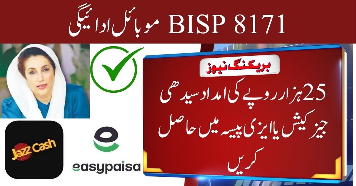 BISP 8171 Mobile Payments