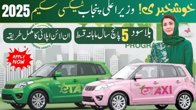 CM Punjab Green e-Taxi Program 2025