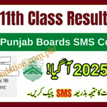Punjab 11th Class Result