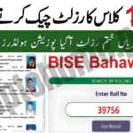 BISE Bahawalpur Board 11th Result