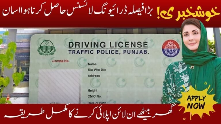 Punjab Driving License 2025: Easy Online Application Today November 2025