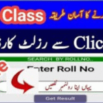 BISE Sargodha 11th Class Result