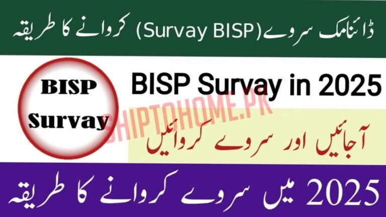 BISP Dynamic Survey 2025 – Registration, Documents & Latest Update