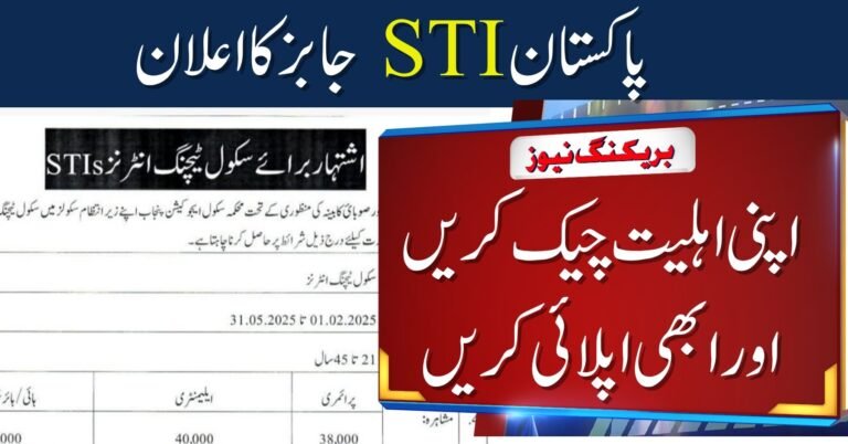 Punjab STI Jobs 2025 – Eligibility Criteria