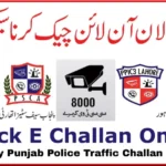 E Challan Online Check