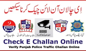 E Challan Online Check