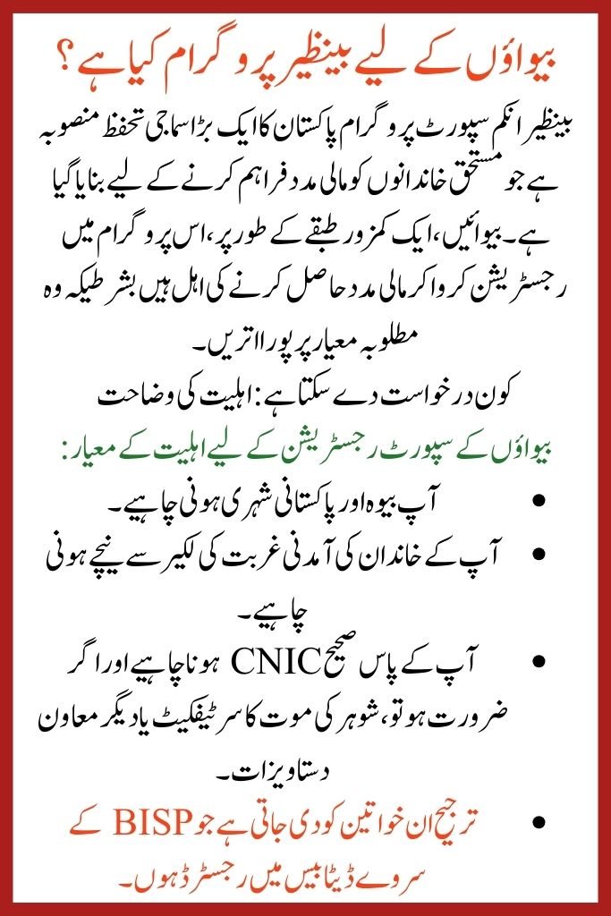 Widows Registration in Benazir 