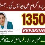 Widows Registration in Benazir Program