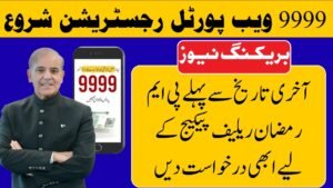 9999 pmrrp.nitb.gov.pk Portal Live