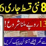 8171 Check Online CNIC
